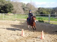 Stages d'équitation en période de vacances scolaires