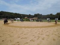 Stages d'équitation en période de vacances scolaires