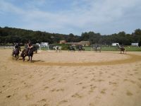 Stages d'équitation en période de vacances scolaires