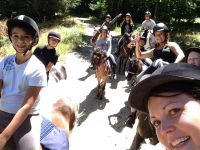 Stages d'été  des écuries de Riboulam 