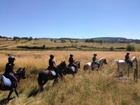 Vacances à poney en Lozère !