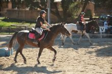 Cours d'équitation enfants et adultes, débutants et confirmés
