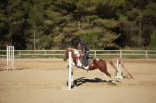 Cours d'équitation enfants et adultes, débutants et confirmés