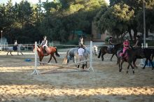 Cours d'équitation enfants et adultes, débutants et confirmés