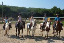Cours d'équitation enfants et adultes, débutants et confirmés