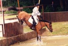 Cours d'équitation enfants et adultes, débutants et confirmés